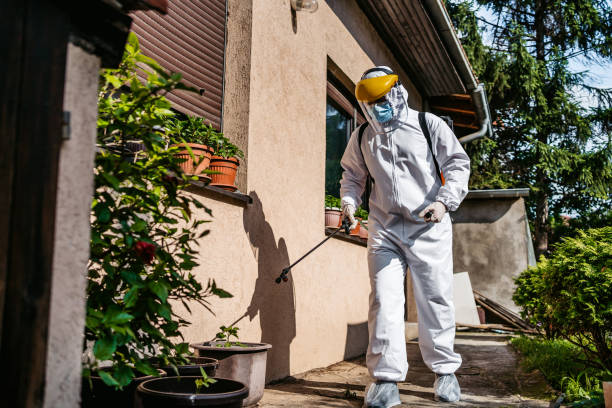 Best Pest Inspection Near Me  in Osgood, IN