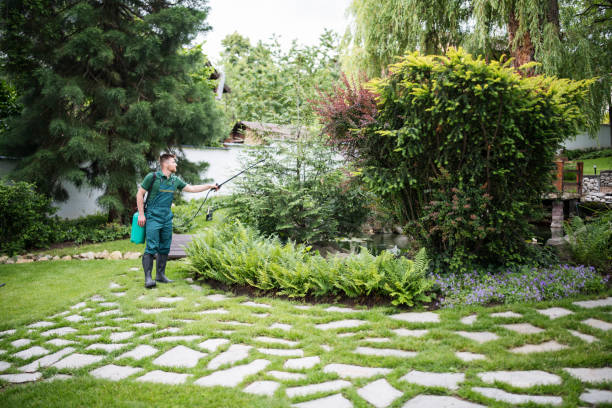 Best Affordable Pest Control Services  in Osgood, IN