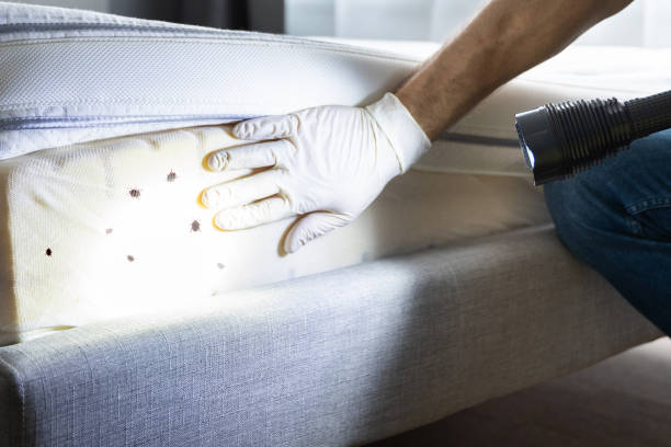 Best Cockroach Control Services  in Osgood, IN