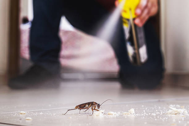 Best Local Pest Control Services  in Osgood, IN