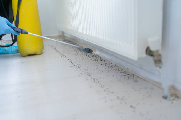 Best Pest Removal Services  in Osgood, IN