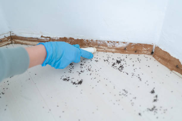 Best Emergency Pest Control  in Osgood, IN
