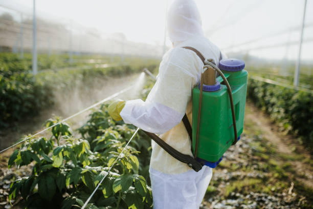 Trusted Osgood, IN Pest Control Experts